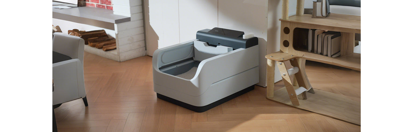 Featured banner image