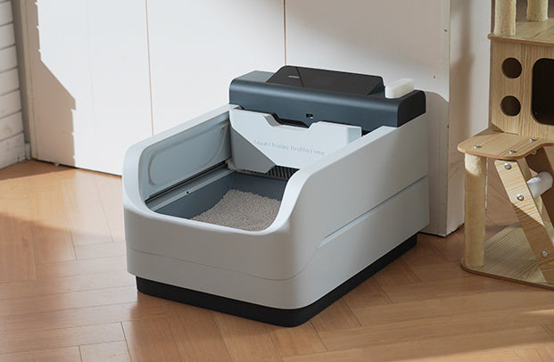 &lt;span class=&#39;visually-hidden&#39;&gt;Load video: &lt;/span&gt;1