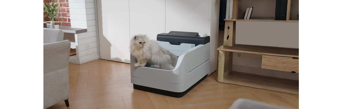 Featured banner image 