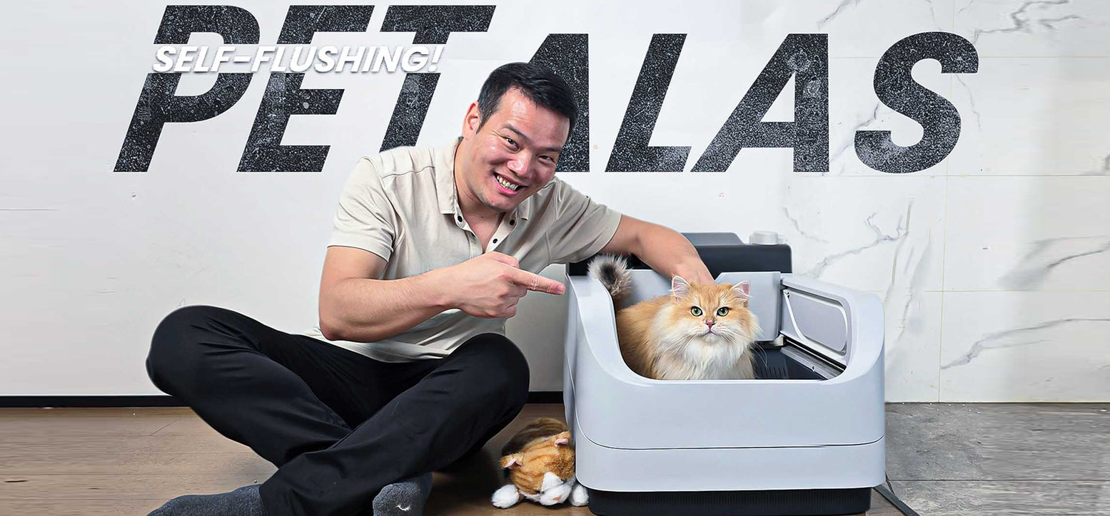 <span class='visually-hidden'>Load video: </span>5