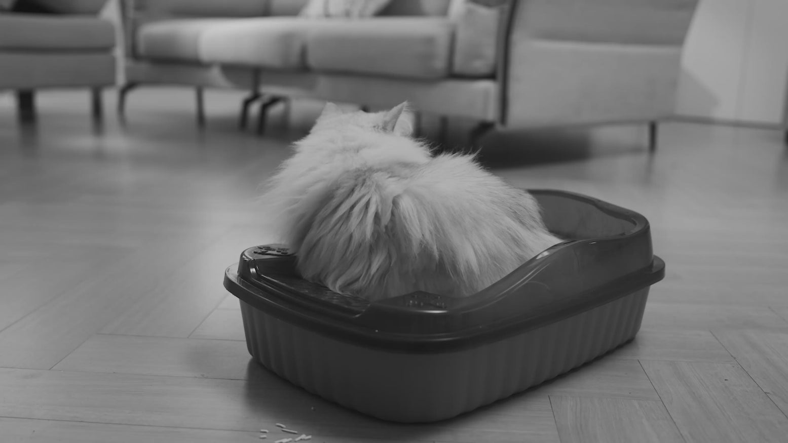 &lt;span class=&#39;visually-hidden&#39;&gt;Load video: &lt;/span&gt;4